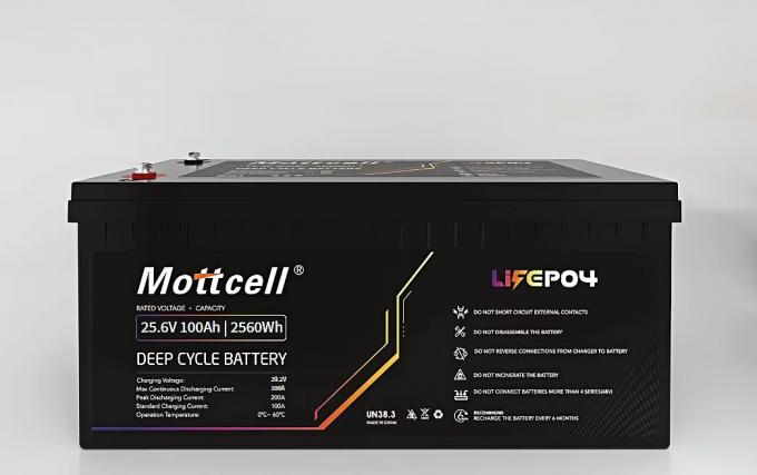 リチウムイオンリン酸 LiFePO4 充電電池 パワーパック 24V 100A 24V 充電電流 0
