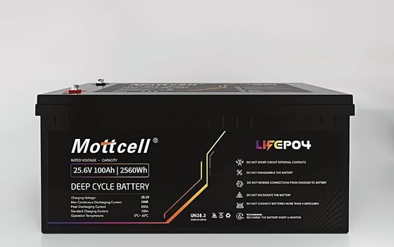 リチウムイオンリン酸 LiFePO4 充電電池 パワーパック 24V 100A 24V 充電電流