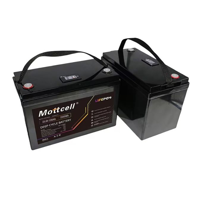 リチウムイオンリン酸 LiFePO4 充電電池 パワーパック 24V 100A 24V 充電電流 1